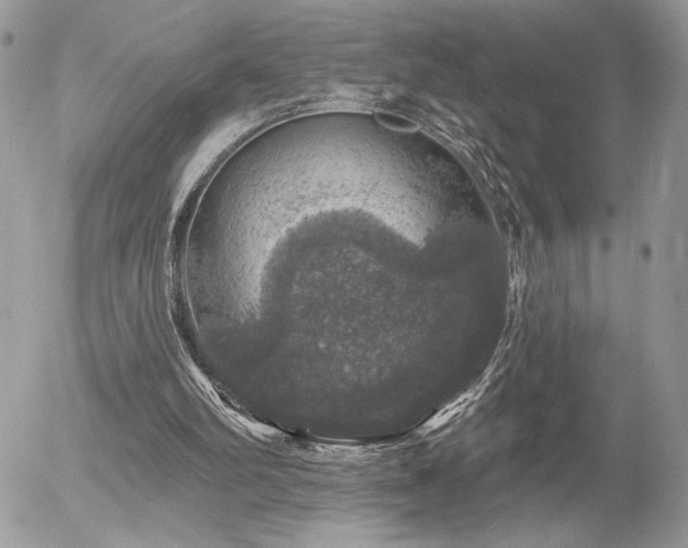 X0000056330102200508261231