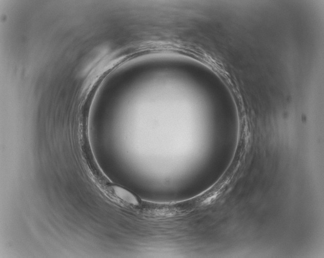 X0000056330103200508261231