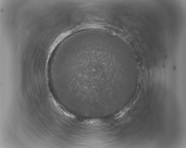 X0000056330104200508261231