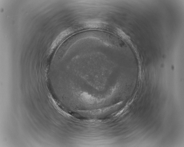 X0000056330106200508261231