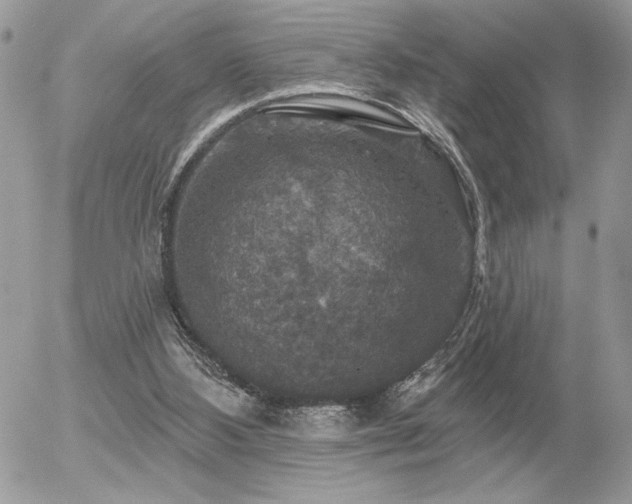 X0000056330108200508261231