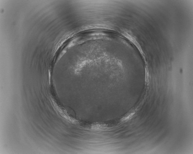 X0000056330109200508261231