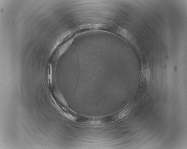 X0000056330110200508261231