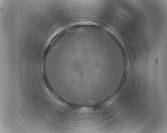 X0000056330111200508261231