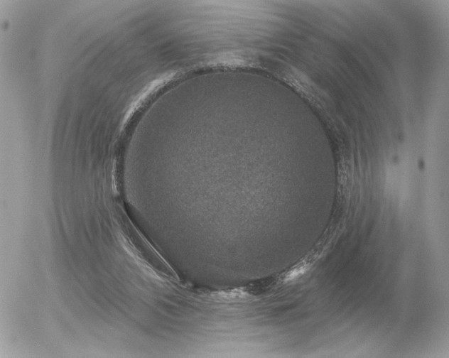 X0000056330112200508261230