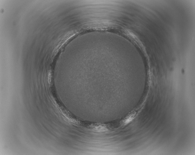 X0000056330113200508261230