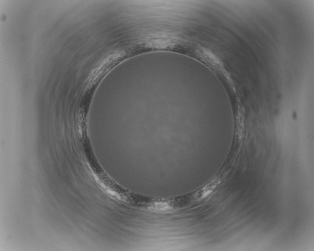 X0000056330114200508261230