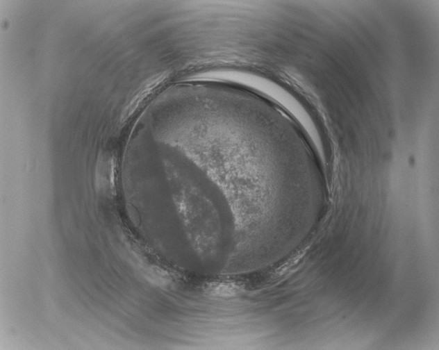 X0000056330115200508261230