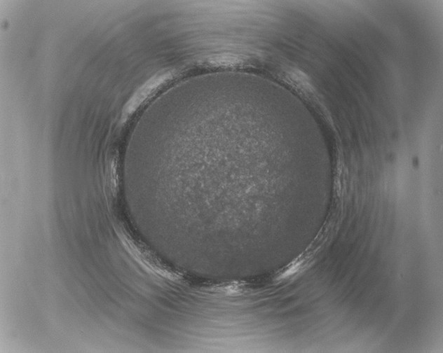 X0000056330116200508261230