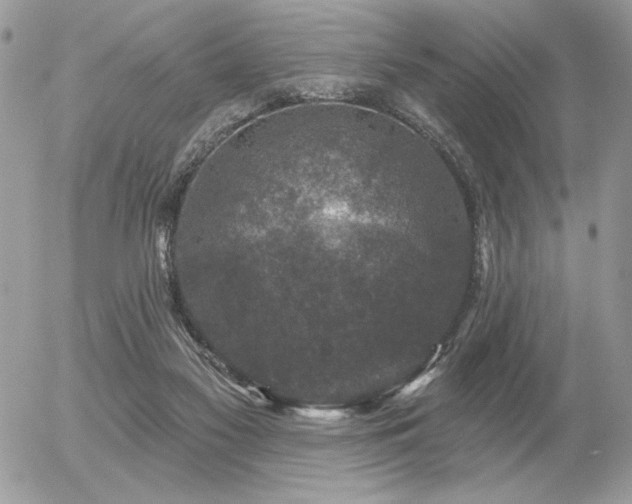 X0000056330117200508261230