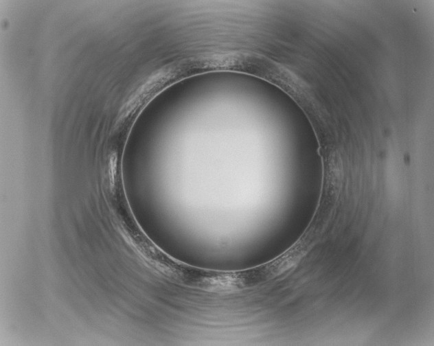 X0000056330118200508261230