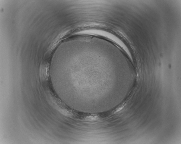 X0000056330119200508261230