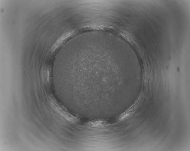 X0000056330120200508261230