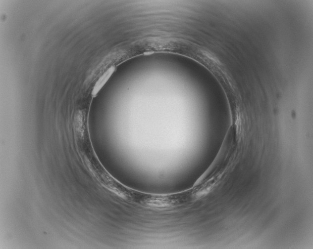 X0000056330121200508261230