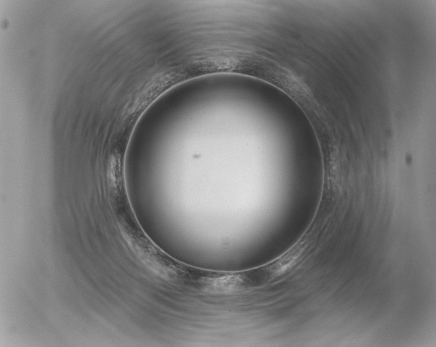 X0000056330122200508261230