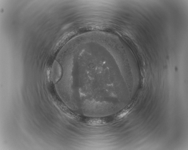 X0000056330123200508261230