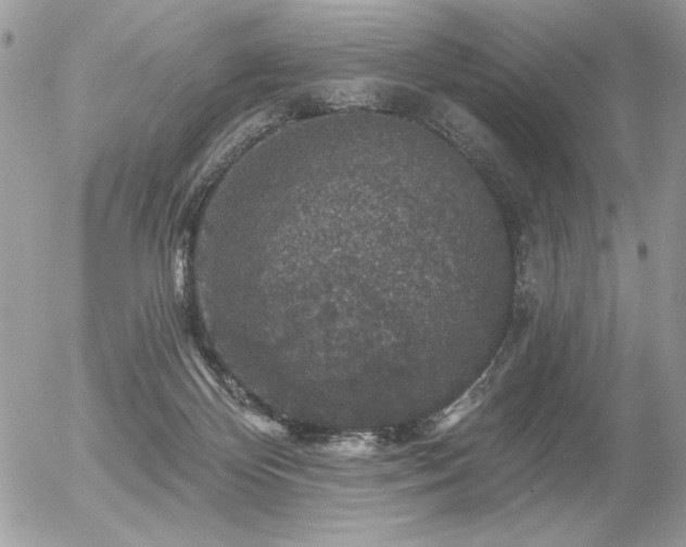 X0000056330124200508261230