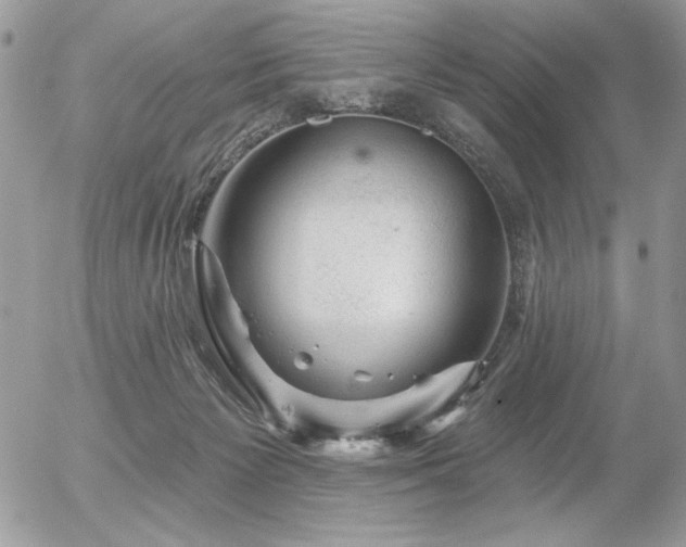 X0000056330125200508261230