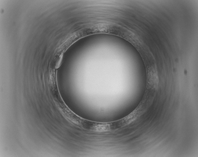 X0000056330126200508261230