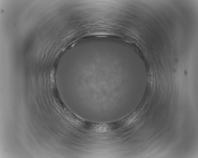 X0000056330127200508261230