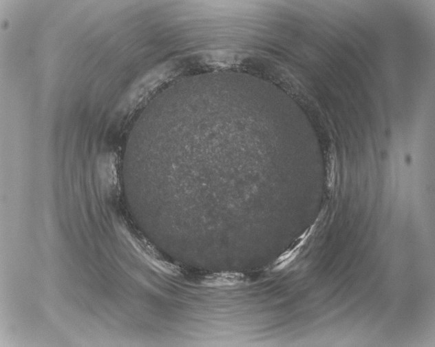 X0000056330128200508261230