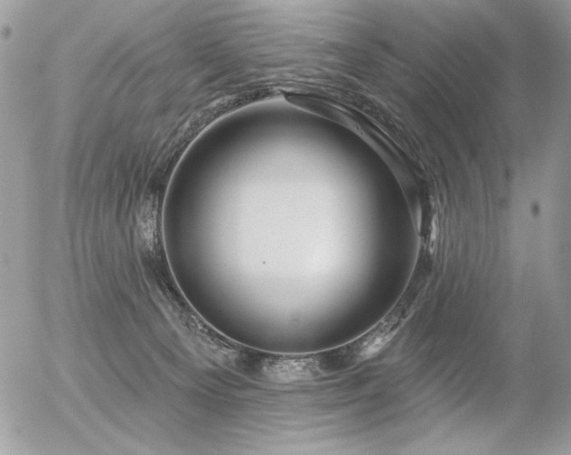 X0000056330129200508261230