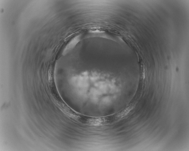 X0000056330131200508261230