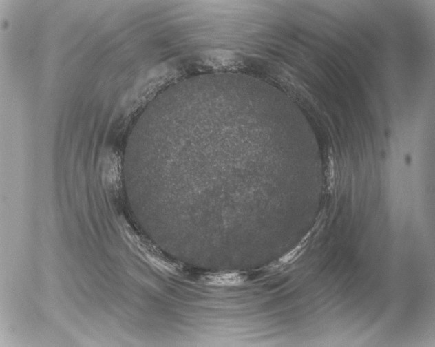 X0000056330132200508261230