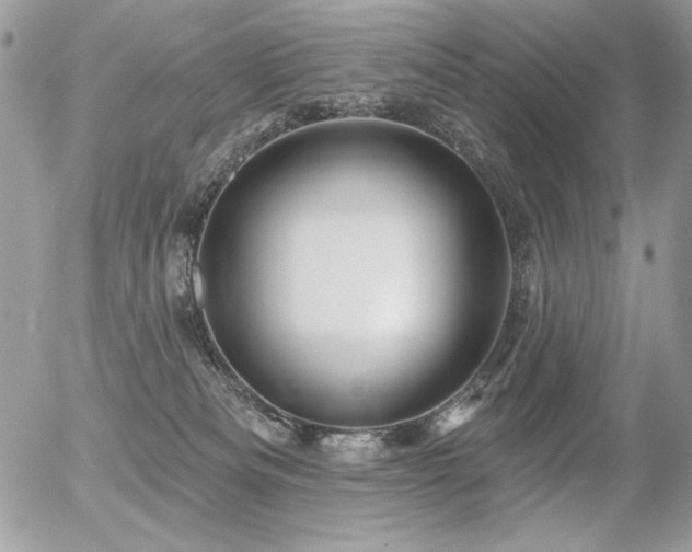 X0000056330133200508261230