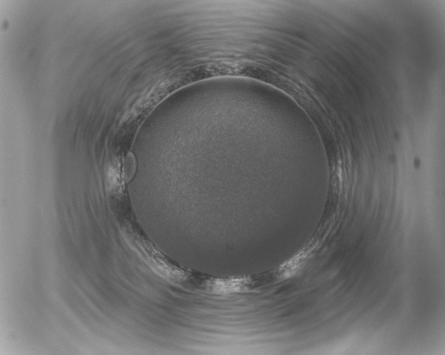 X0000056330134200508261230