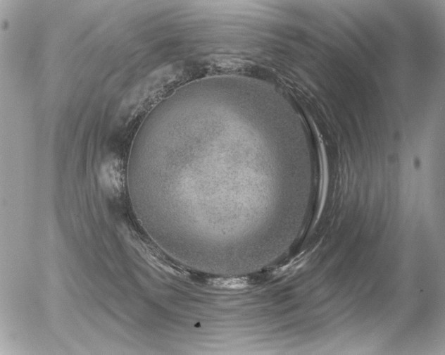 X0000056330135200508261230