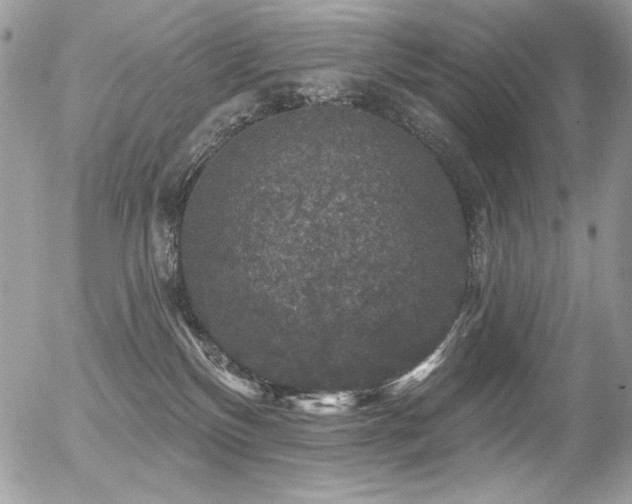 X0000056330136200508261230