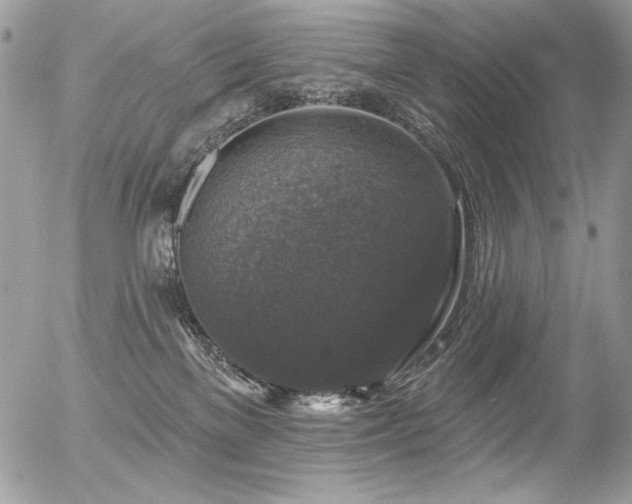 X0000056330137200508261230