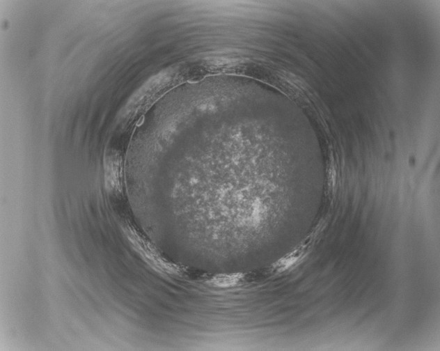 X0000056330138200508261230