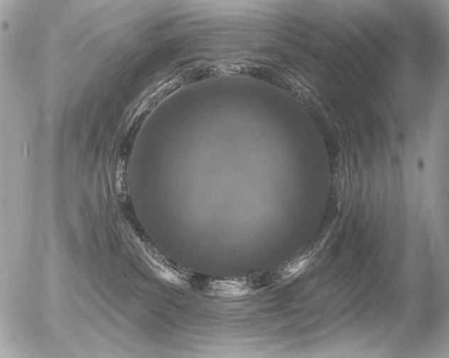 X0000056330139200508261230