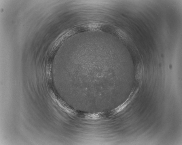 X0000056330140200508261230