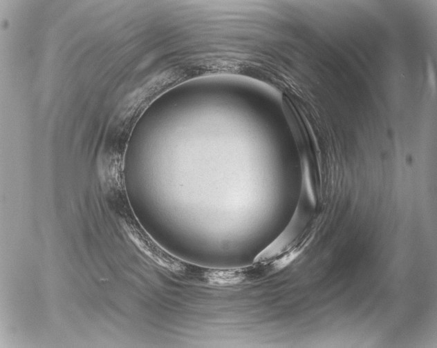 X0000056330141200508261230