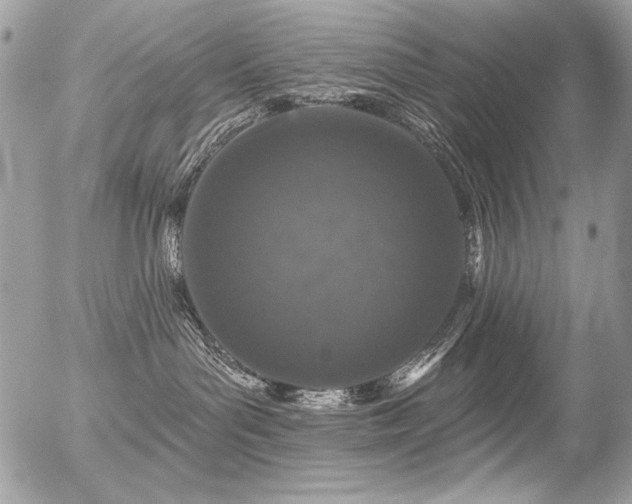 X0000056330143200508261230