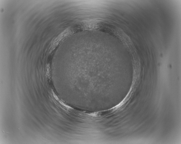 X0000056330144200508261230