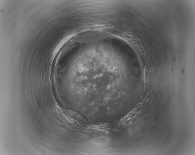 X0000056330147200508261229