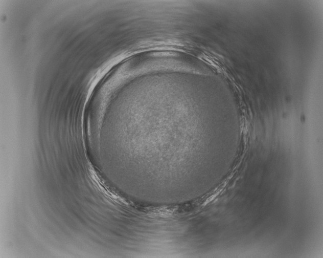 X0000056330148200508261229