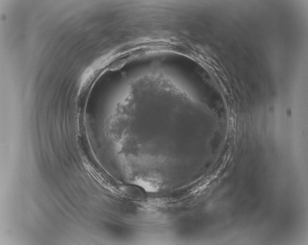 X0000056330149200508261229