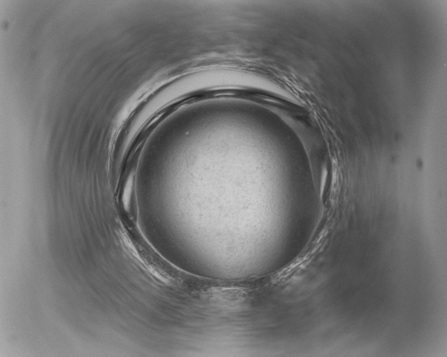 X0000056330150200508261229