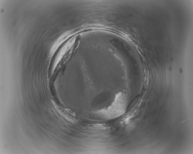 X0000056330151200508261229