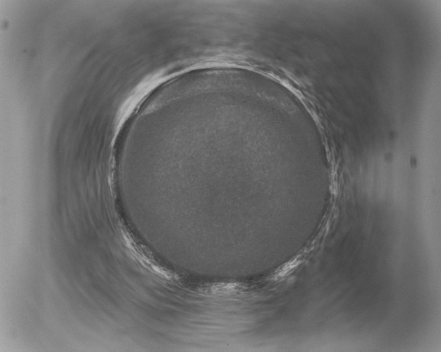 X0000056330152200508261229