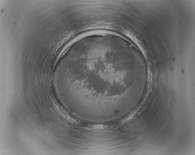 X0000056330153200508261229