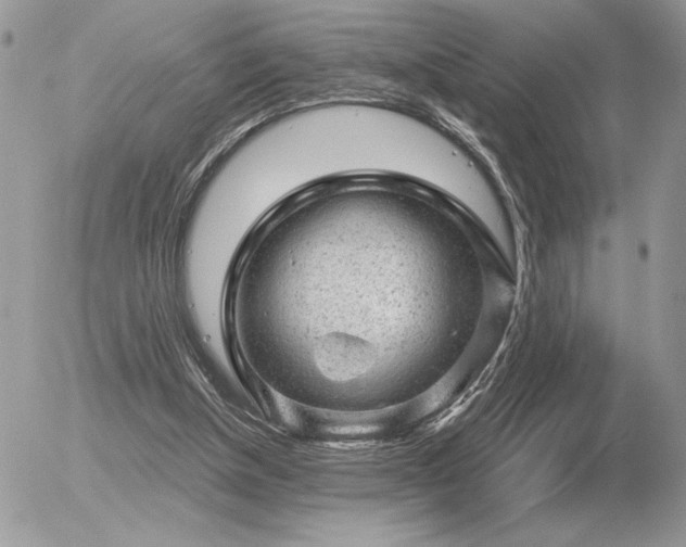 X0000056330154200508261229