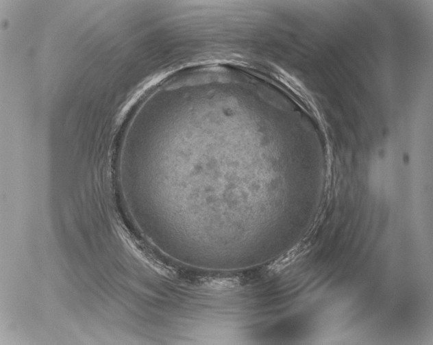 X0000056330155200508261229