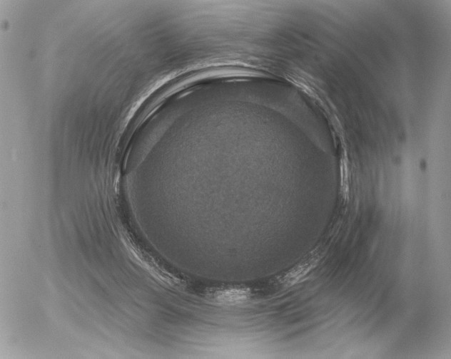 X0000056330156200508261229