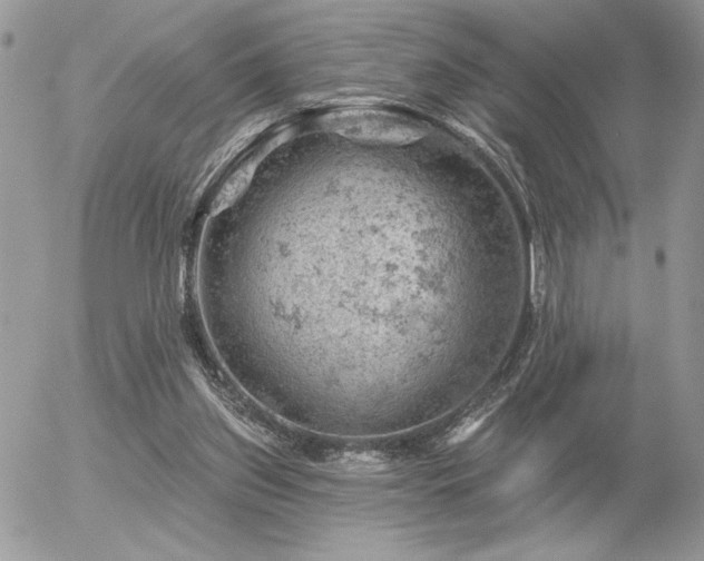 X0000056330157200508261229